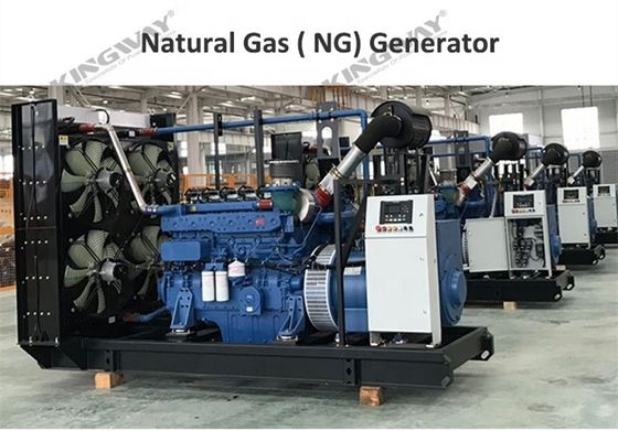 Générateur de secours d'électricité CE ISO avec générateur de gaz naturel
