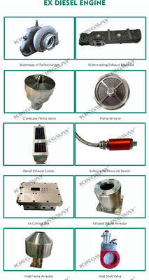 Supply 350kva 400v 50hz atex explosion proof zone 2 rated dnvoffshore generator