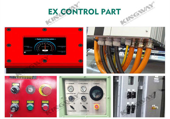 L'alimentation 400v 50hz 3 phases 4 câble moteur diesel 300kva à l'épreuve de l'ATEX Zone 2 nominé dnvooffshore générateur