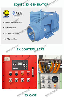Plateforme offshore ATEX Zone 2 32kw 40kva zone1 générateur diesel résistant à l'explosion