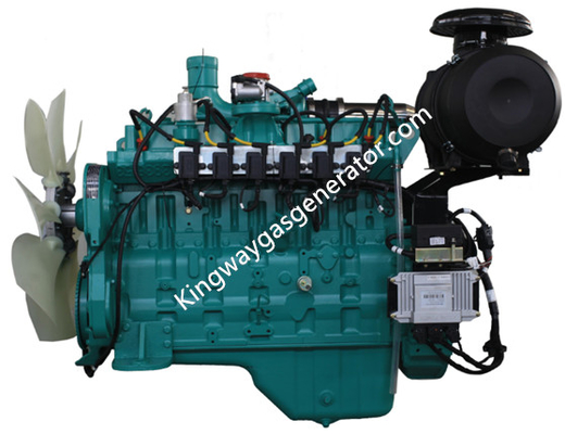 Moteur à gaz naturel de Cummins 30kva de certification de la CE pour le générateur de gaz