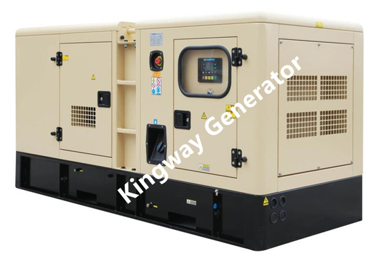 Groupe électrogène silencieux Cummins Engine de diesel de carburant de 20KW 25KVA double et de biogaz